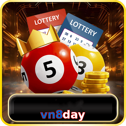 vn8day